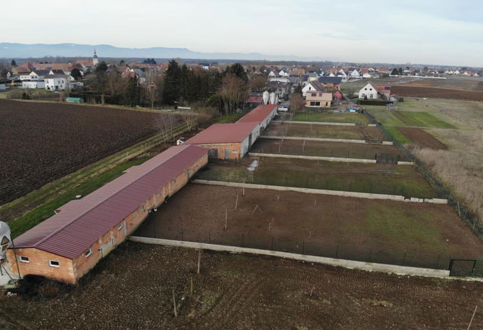 Vue aérienne sur la ferme Schwenger-Fuchs (bâtiments d'élevage et parcours extérieurs)